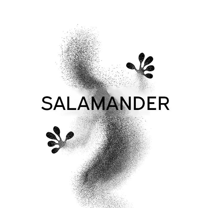 Salamander - Chapter 3 20